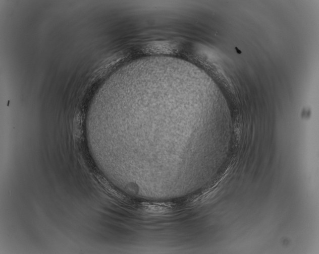 X0000097900359200803281344