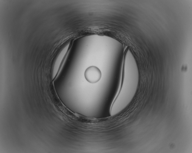 X0000097900360200803281344