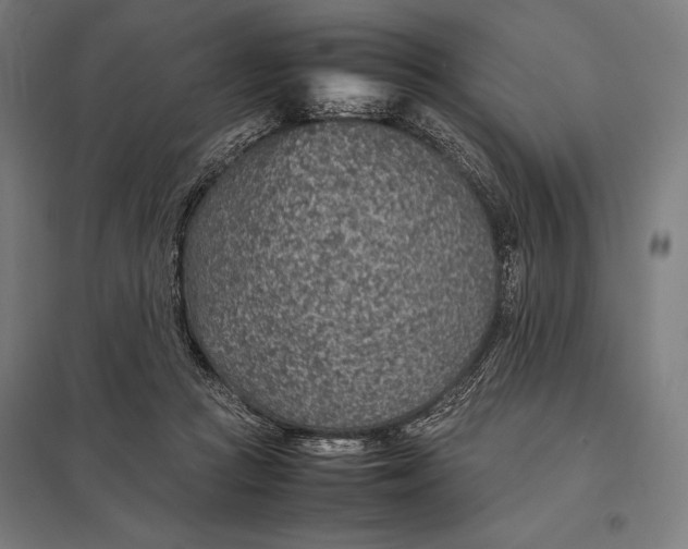 X0000097900361200803281344