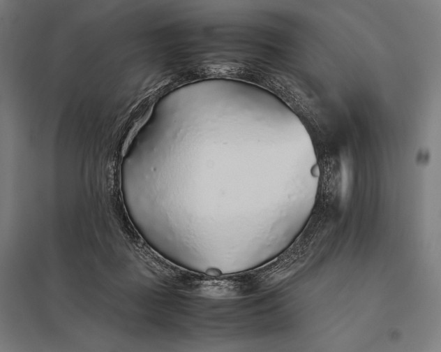 X0000097900363200803281344