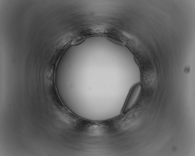 X0000097900364200803281344