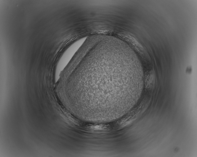 X0000097900365200803281344