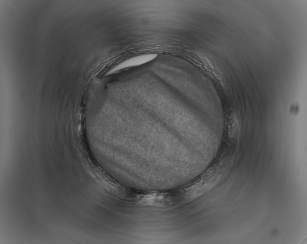 X0000097900366200803281344