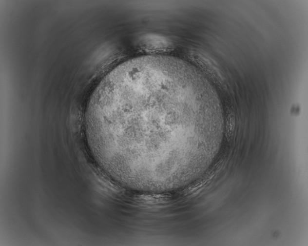 X0000097900367200803281344