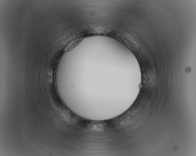 X0000097900368200803281344