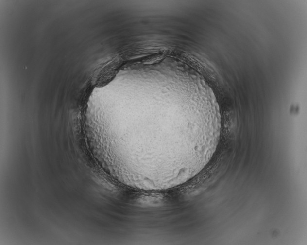 X0000097900369200803281344