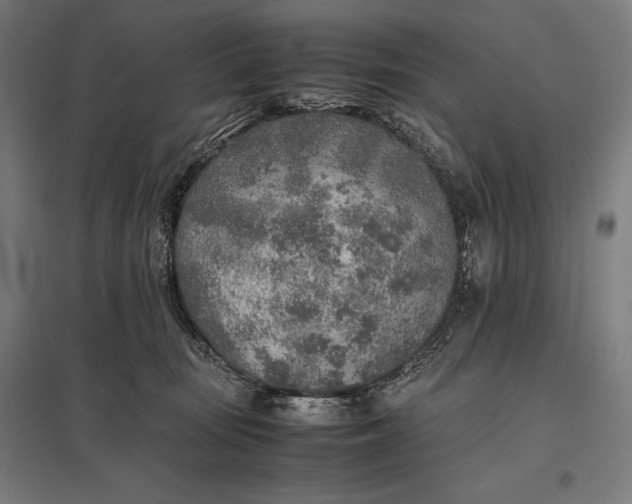 X0000097900371200803281344