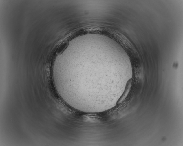 X0000097900372200803281344