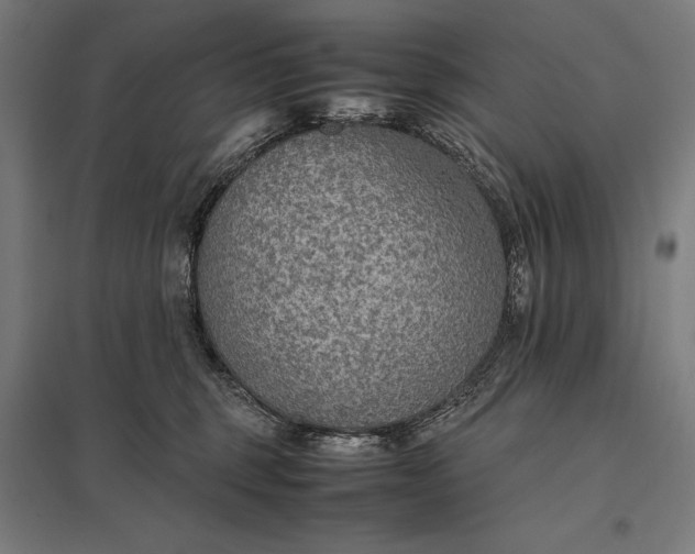 X0000097900375200803281344