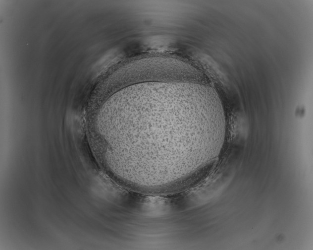 X0000097900376200803281344