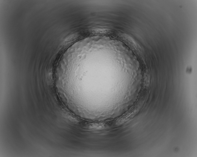 X0000097900377200803281344