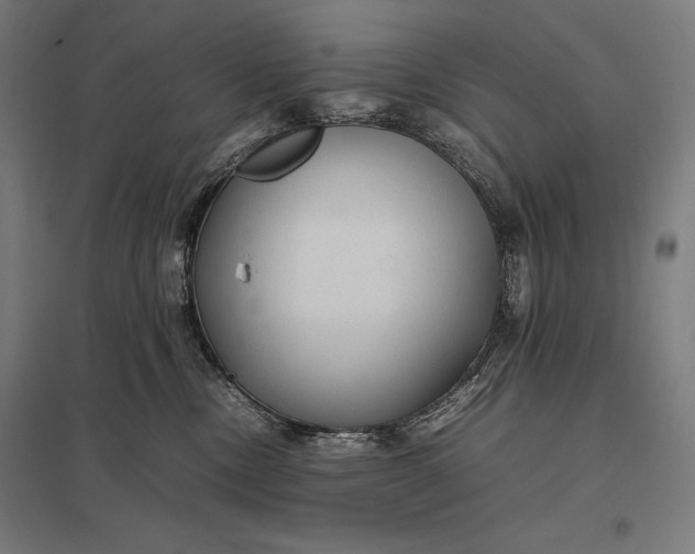 X0000097900378200803281344