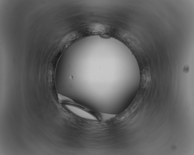 X0000097900379200803281344