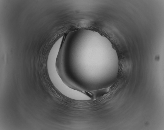 X0000097900380200803281344