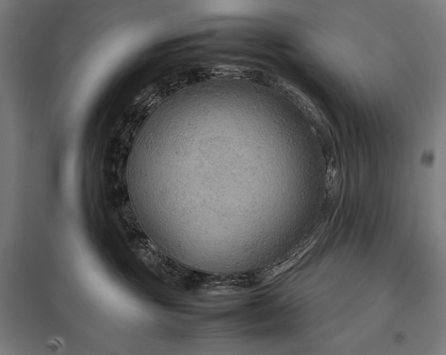 X0000097900381200803281344