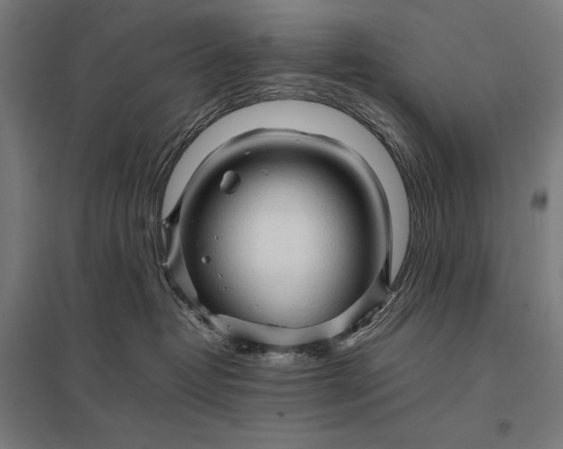 X0000097900382200803281344