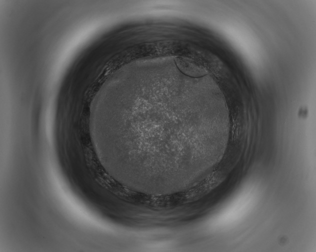 X0000097900383200803281344