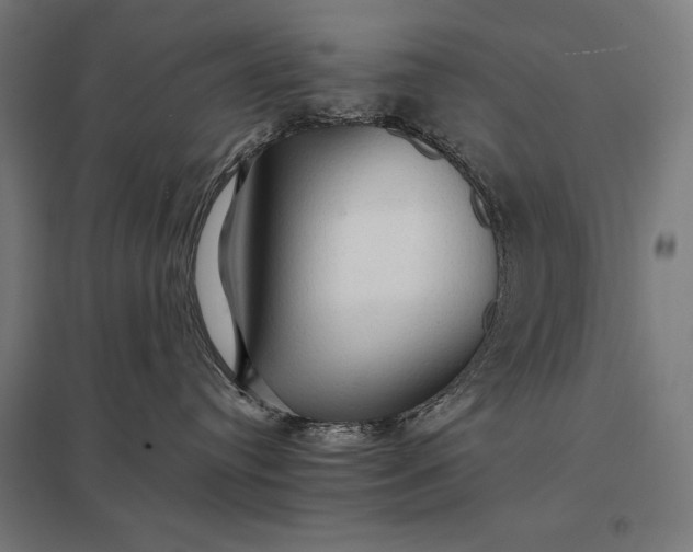 X0000097900384200803281344