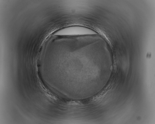 X0000097900386200803281344