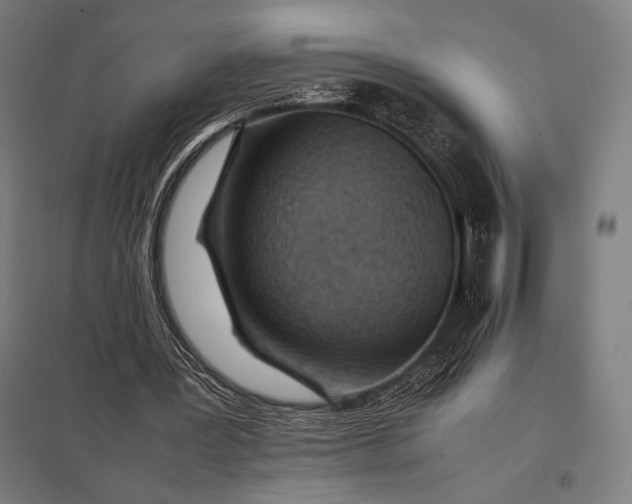 X0000097900387200803281344