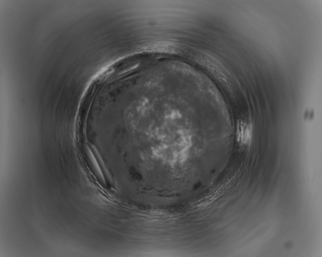 X0000097900388200803281344