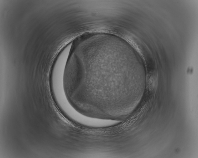 X0000097900389200803281344