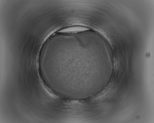 X0000097900390200803281344