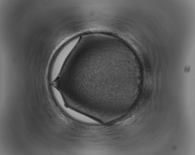 X0000097900391200803281344