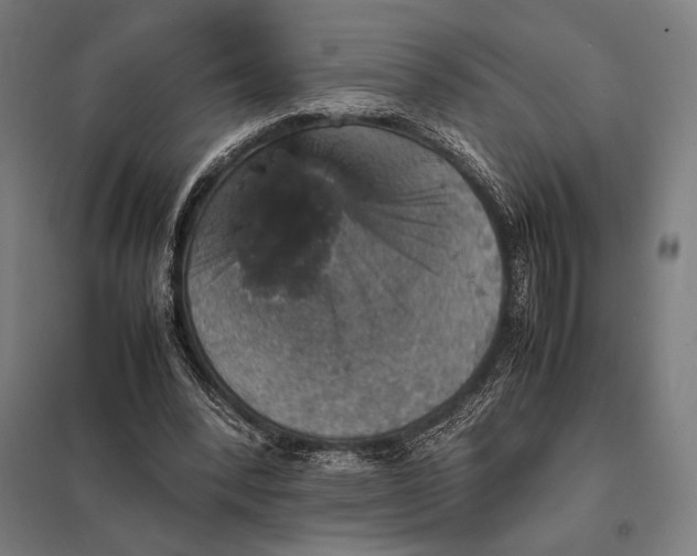 X0000097900392200803281344