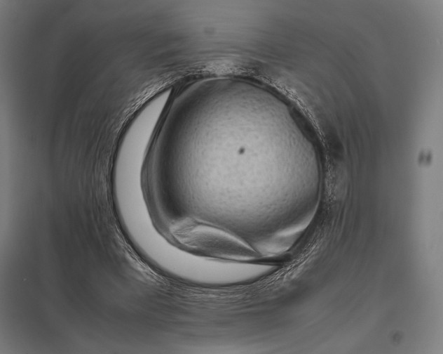 X0000097900393200803281344