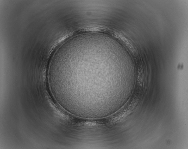 X0000097900394200803281344