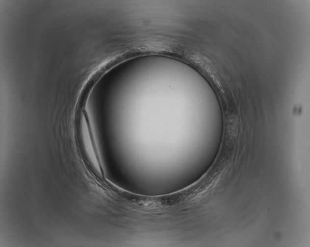 X0000097900395200803281343