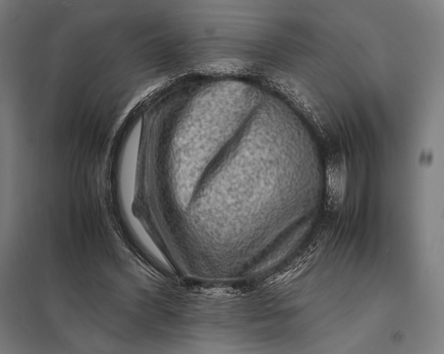 X0000097900396200803281343