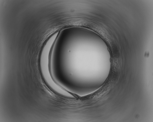 X0000097900397200803281343