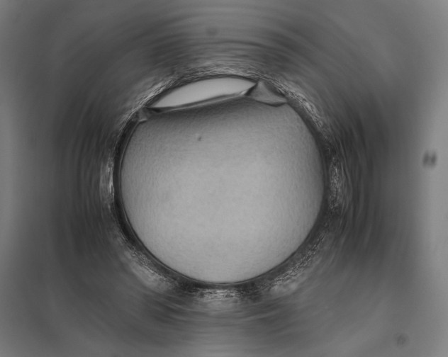 X0000097900398200803281343