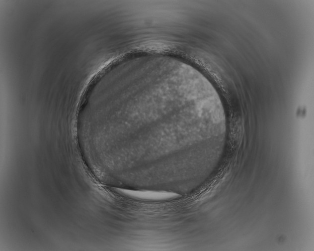 X0000097900399200803281343