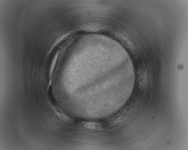 X0000097900400200803281343