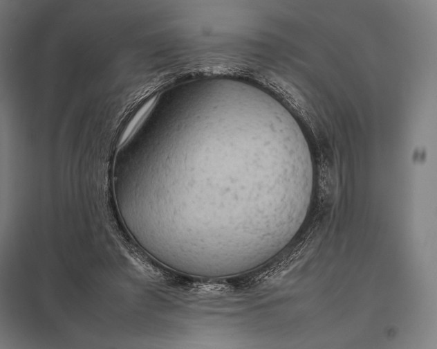 X0000097900401200803281343