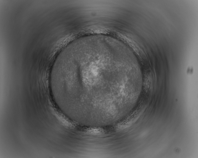 X0000097900402200803281343