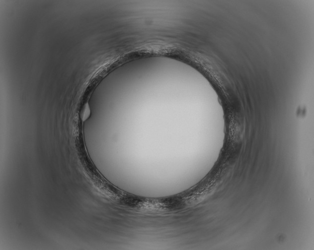 X0000097900403200803281343