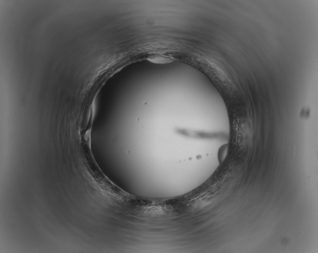 X0000097900404200803281343