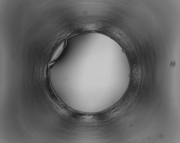 X0000097900406200803281343