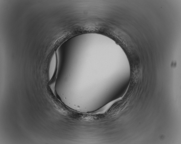 X0000097900407200803281343