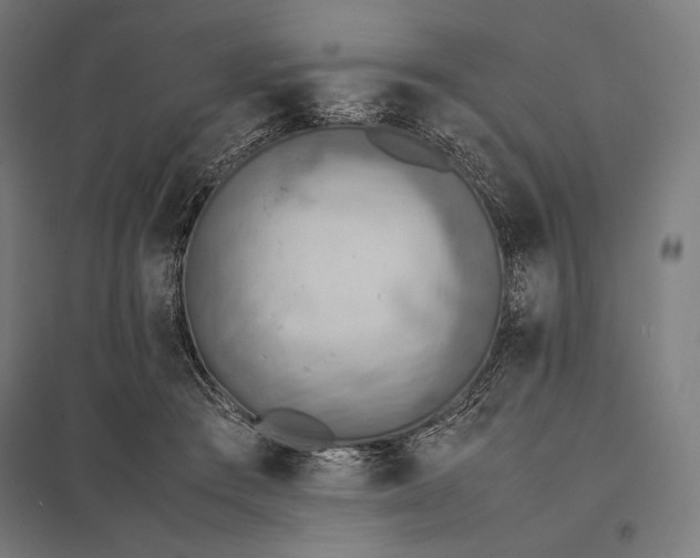 X0000097900409200803281343