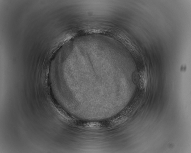 X0000097900410200803281343