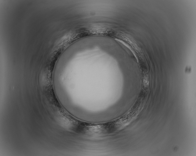 X0000097900411200803281343