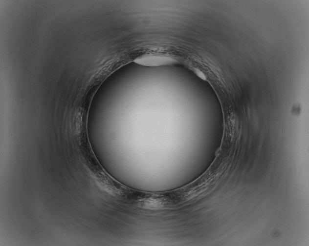 X0000097900412200803281343