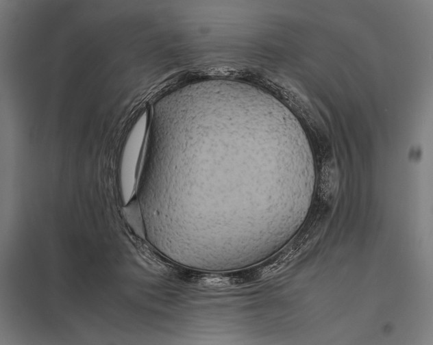 X0000097900413200803281343