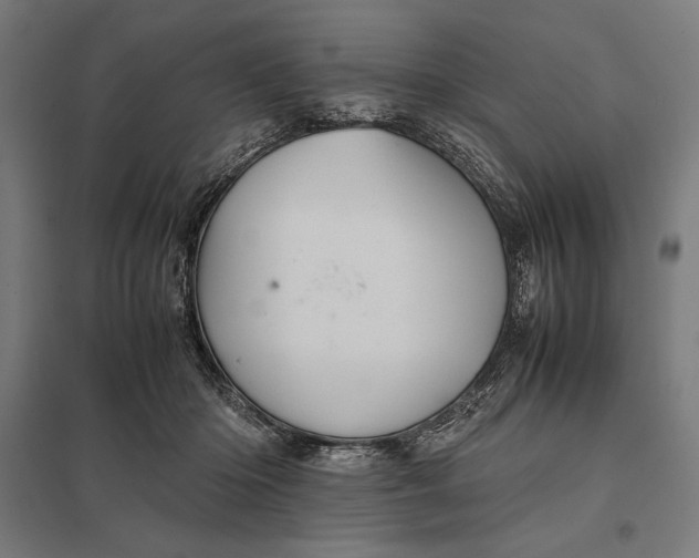 X0000097900414200803281343