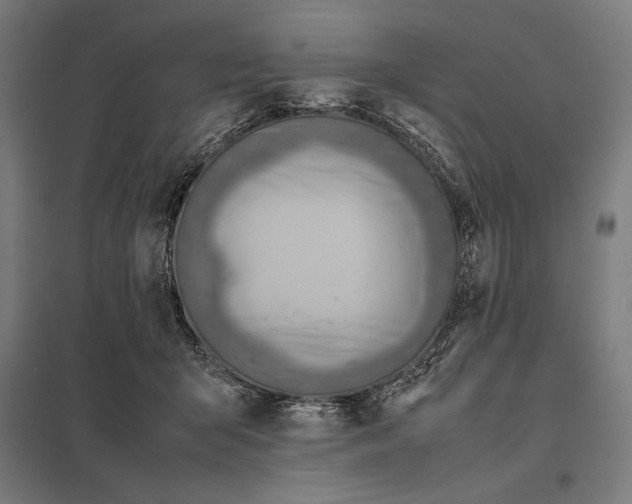 X0000097900415200803281343